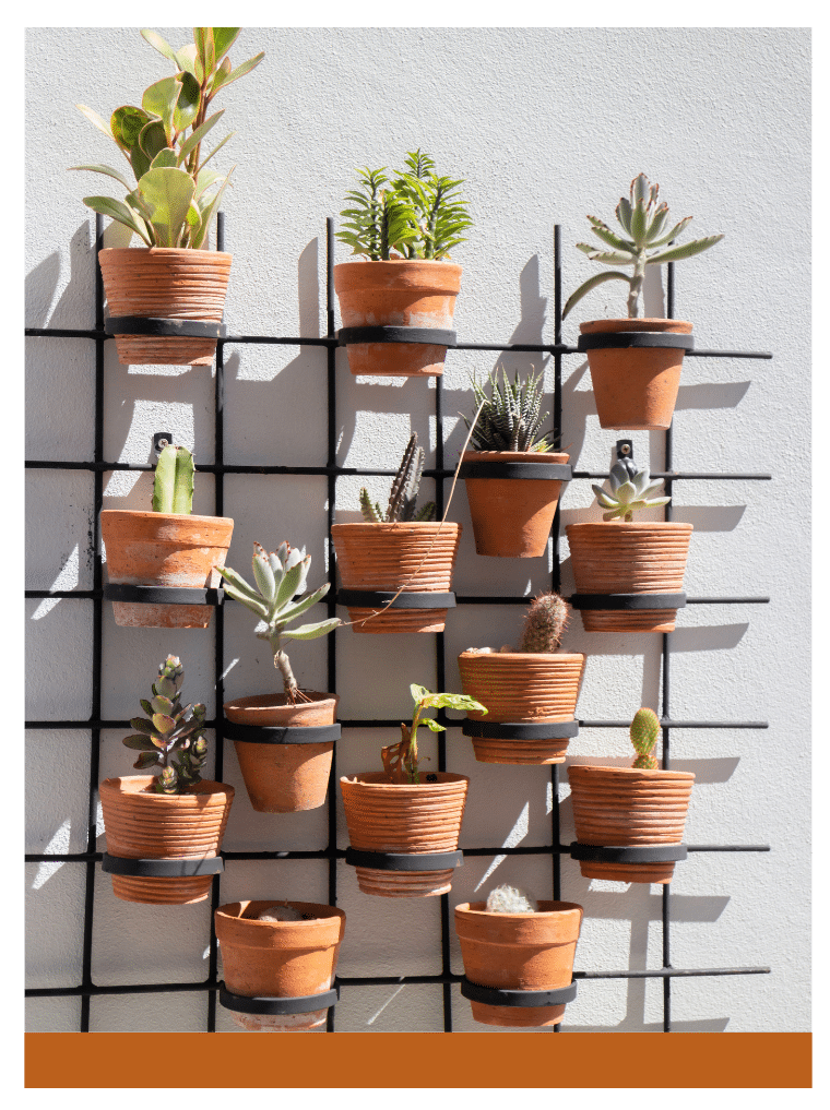 Terracotta pots with various succulents and plants on a wall-mounted metal grid for a stylish vertical garden