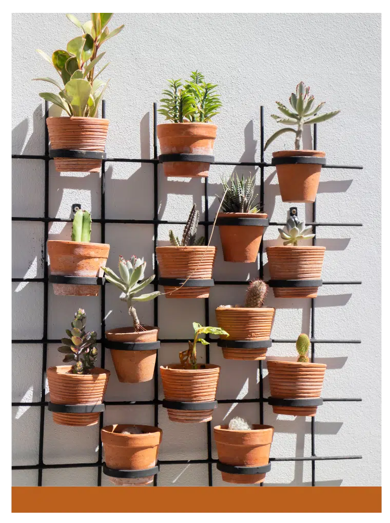 Terracotta pots with various succulents and plants on a wall-mounted metal grid for a stylish vertical garden